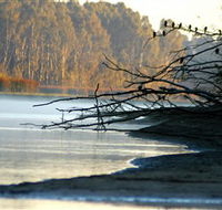 Barmah National Park - Restaurant Gold Coast