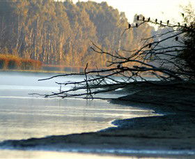 Barmah National Park - Restaurant Gold Coast 0
