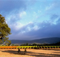 Mount Avoca