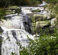 Agnes Falls Scenic Reserve - Restaurant Gold Coast