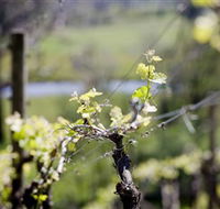 Kyneton Ridge Estate - Restaurant Gold Coast