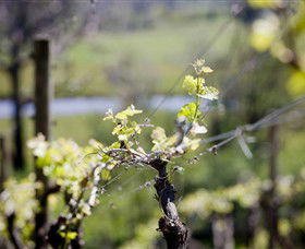 Kyneton Ridge Estate - Restaurant Gold Coast 0