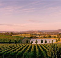 Oakridge Wines - Restaurant Gold Coast