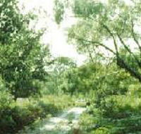 Holey Plains State Park - Restaurant Gold Coast