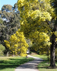 Surrey Hills VIC Restaurant Gold Coast