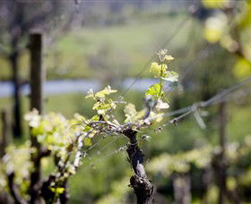 Eldridge Estate Of Red Hill - Restaurant Gold Coast 0