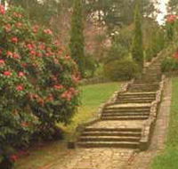 Maroondah Reservoir Park - Restaurant Gold Coast