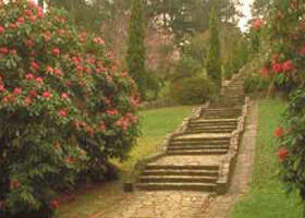 Maroondah Reservoir Park - Restaurant Gold Coast 0