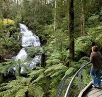 Great Otway National Park - Restaurant Gold Coast
