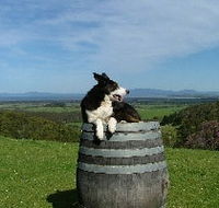 Windy Ridge Vineyard and Winery - Restaurant Gold Coast