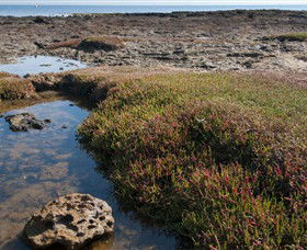 Ricketts Point Marine Sanctuary - Restaurant Gold Coast 0