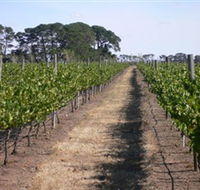 Mount Beckworth Wines - Restaurant Gold Coast