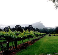 Cambewarra Estate Wines - Restaurant Gold Coast