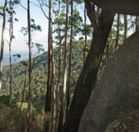 Gulaga National Park - Restaurant Gold Coast