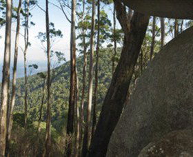 Gulaga National Park - Restaurant Gold Coast 0