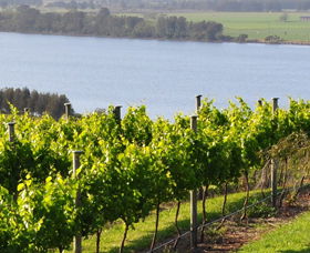 Shoalhaven Heads NSW Restaurant Gold Coast