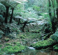Deua National Park - Restaurant Gold Coast