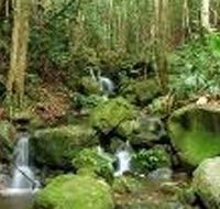 Budderoo National Park - Restaurant Gold Coast