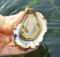 The Oyster Pot - Restaurant Gold Coast