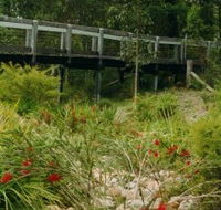Eurobodalla Botanic Gardens - Restaurant Gold Coast