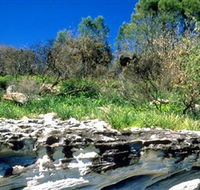 Abrahams Bosom Reserve - Restaurant Gold Coast