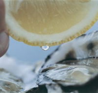Pearly Oyster Bar and Farm - Restaurant Gold Coast
