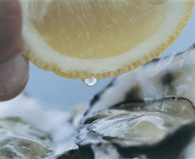 Pearly Oyster Bar And Farm - Restaurant Gold Coast 0