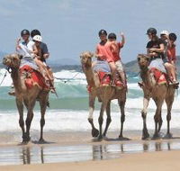 Camel Rides with Coffs Coast Camels - Restaurant Gold Coast