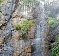 Wedding Bells Forest Drive - Restaurant Gold Coast