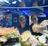 Solitary Islands Aquarium - Restaurant Gold Coast