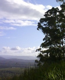 Sherwood Nature Reserve - Restaurant Gold Coast 0