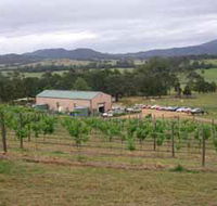 Villa d Esta Vineyard - Restaurant Gold Coast
