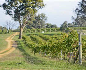 Shaw Vineyard Estate - Restaurant Gold Coast 1