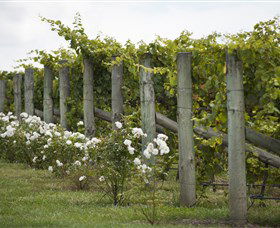 Lambert Vineyards Cellar Door - Restaurant Gold Coast 2