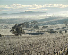 Kurrajong Downs Wines Vineyard - Restaurant Gold Coast 1