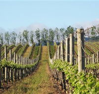 Philip Shaw Wines - Restaurant Gold Coast