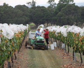 Razorback Ridge Wines - Restaurant Gold Coast 7