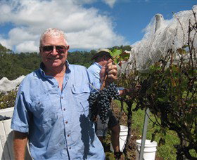 Razorback Ridge Wines - Restaurant Gold Coast 2