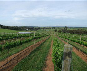 Razorback Ridge Wines - Restaurant Gold Coast 1