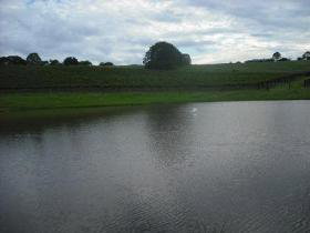 Vintners Secret Vineyard, Cellar Door And Cafe - Restaurant Gold Coast 0