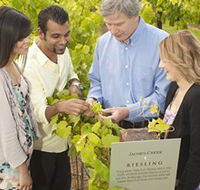 Jacob's Creek Vineyard Tour - Restaurant Gold Coast