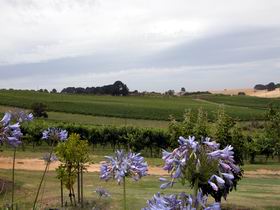 Mount Jagged Wines - Restaurant Gold Coast 1