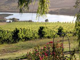 Mount Jagged Wines - Restaurant Gold Coast 2