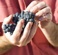 Brown Magpie Wines - Restaurant Gold Coast