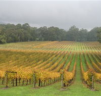 Boat O'Craigo Wines - Restaurant Gold Coast