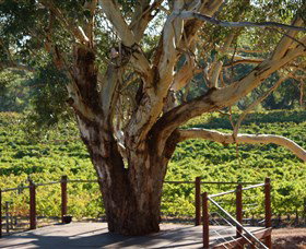 Upper Reach Winery And Cellar Door - Restaurant Gold Coast 1