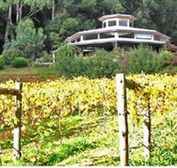 Peveril Vineyard/Beechy Berries - Restaurant Gold Coast