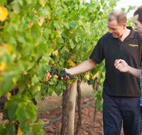 Fratin Brothers Vineyard - Restaurant Gold Coast