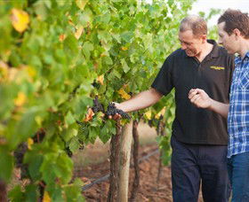 Fratin Brothers Vineyard - Restaurant Gold Coast 0