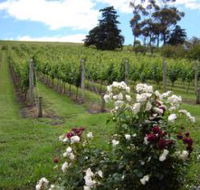 Pembroke Estate Vineyard - Restaurant Gold Coast